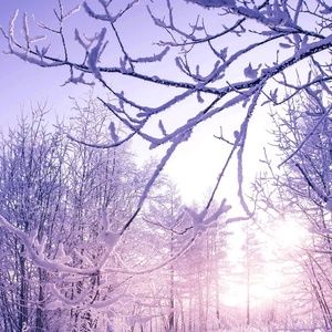 Meet your Posher, Asiyah